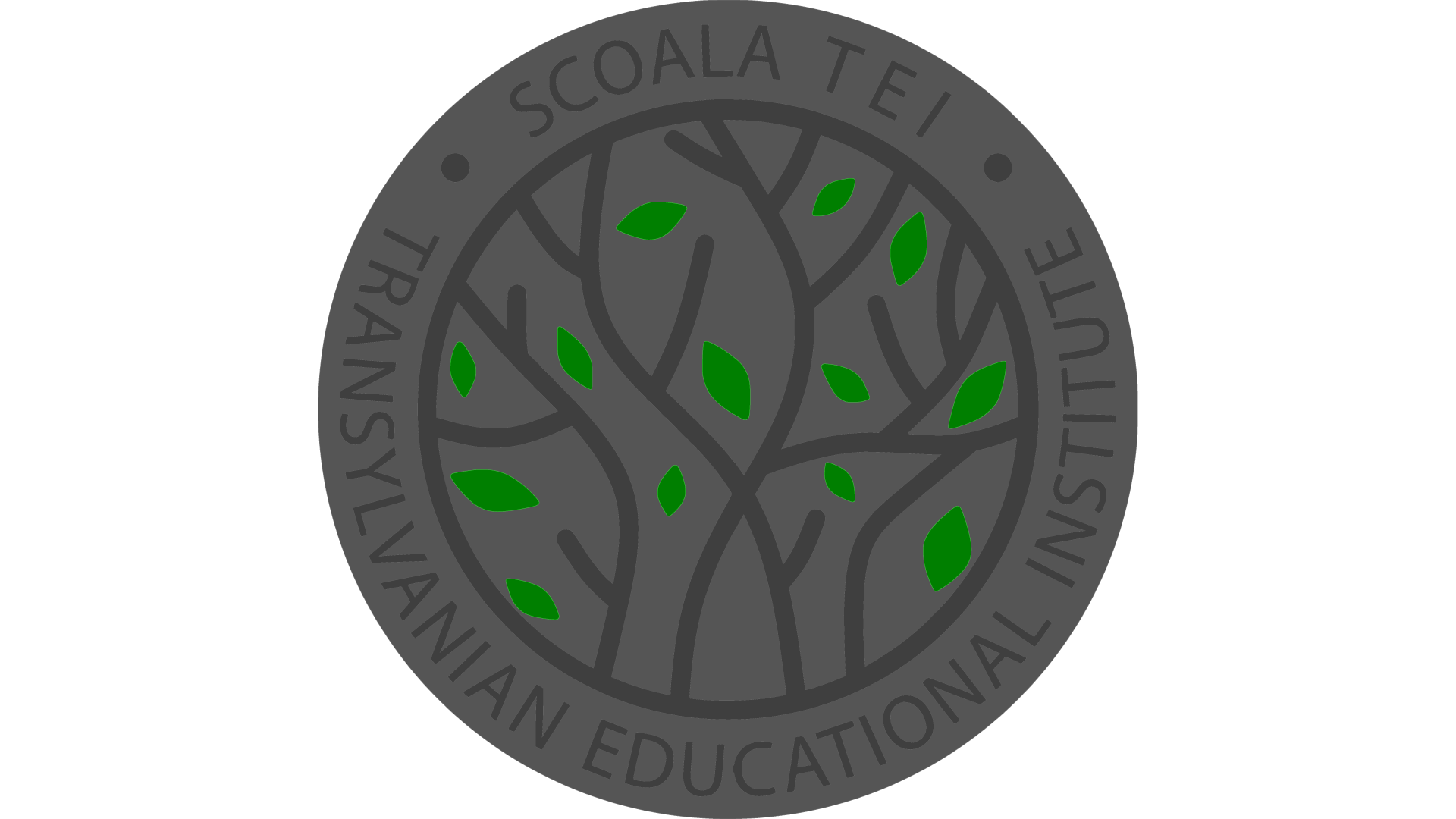 Logo Școala TEI